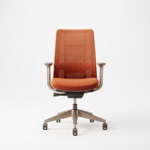 Factor Adjustable Lumbar Support Chair