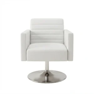 Jeo Contemporary Lounge Chair