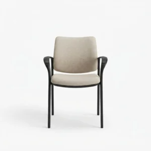 Sidero Guest Chair