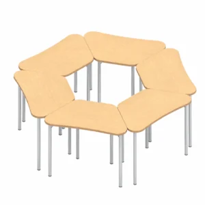 Zook Training, Work, and Activity Tables