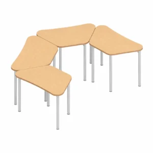 Zook Training, Work, and Activity Tables